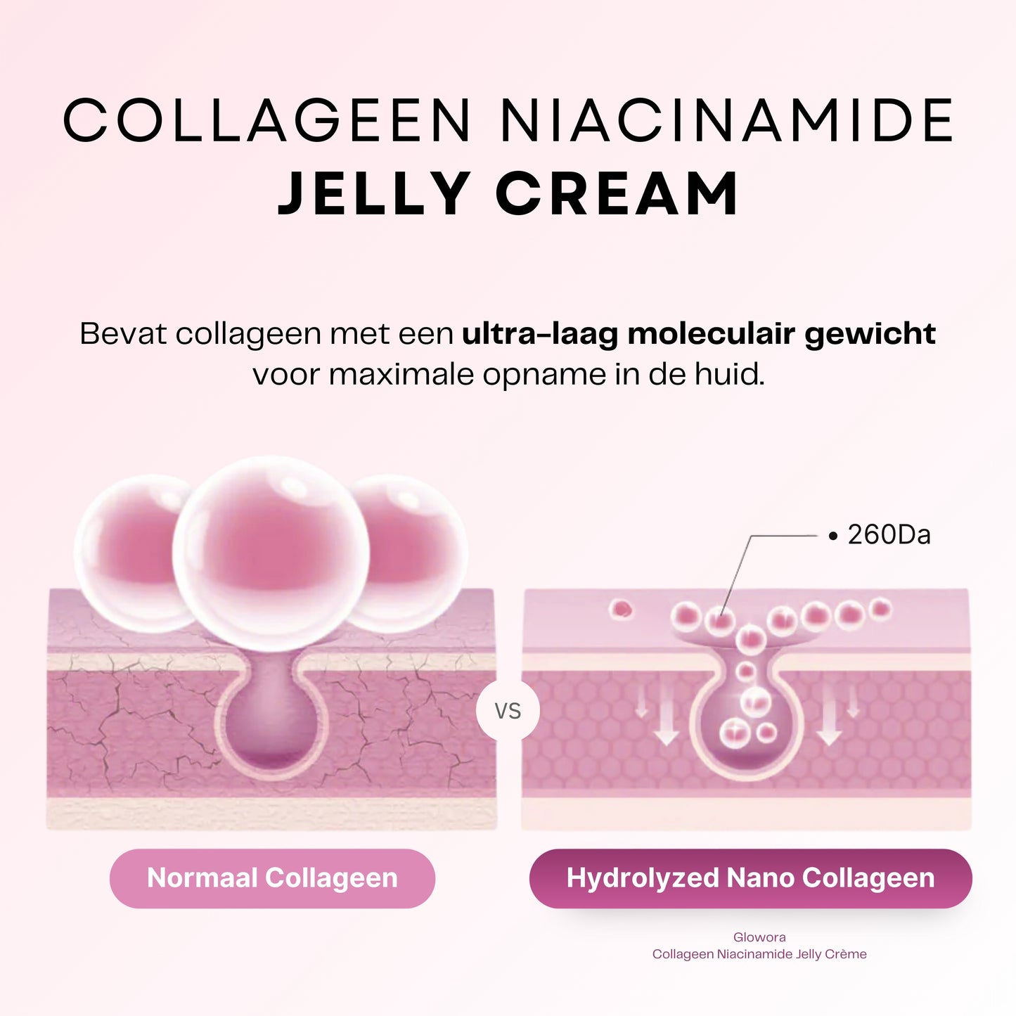 Collageen + Niacinamide Jelly Crème