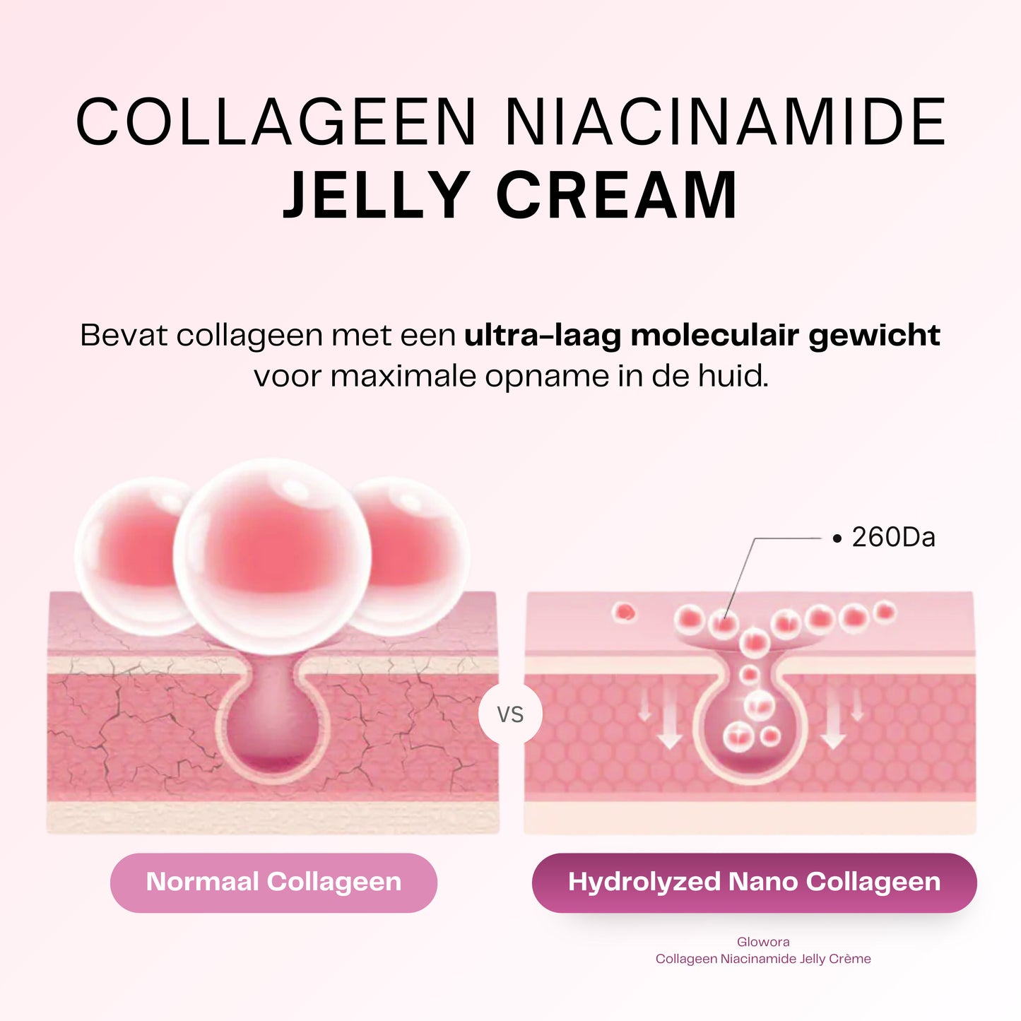 Collageen + Niacinamide Jelly Crème
